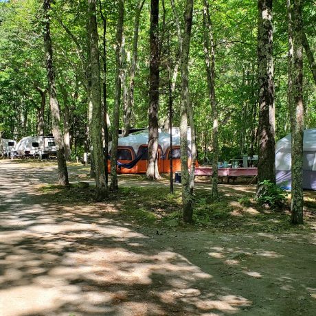 Tent Camp at Megunticook Campground
